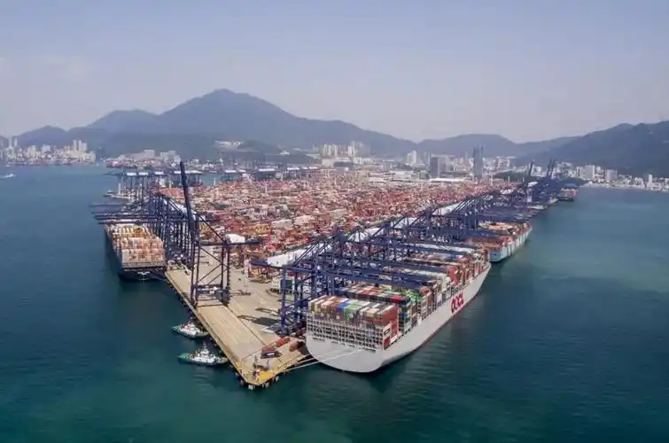 中物联何辉：运用数字技术构建富有韧性的全球大宗商品产业链供应链